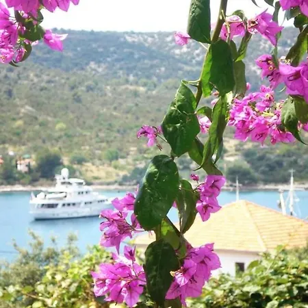 Lejlighed Jasmina Fuer Sechs Personen By Interhome Vinišće