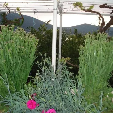 Jasmina Fuer Sechs Personen By Interhome Vinišće